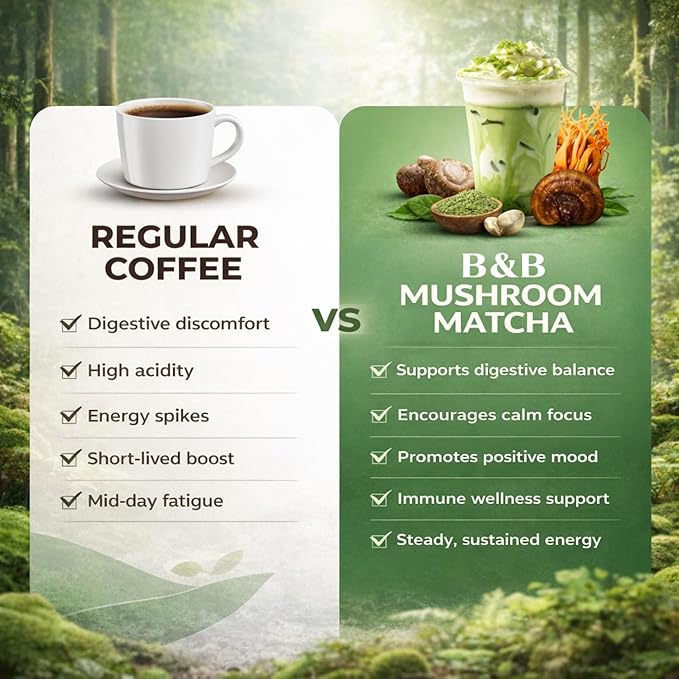 B &amp B Mushroom Matcha Powder with Coconut Milk | Lion’s Mane Cordyceps Chaga &amp 6 Mushroom Fruiting Body Blend – Japanese Ceremonial Grade Matcha – Adaptogenic Energy &amp Focus Drink Mix –