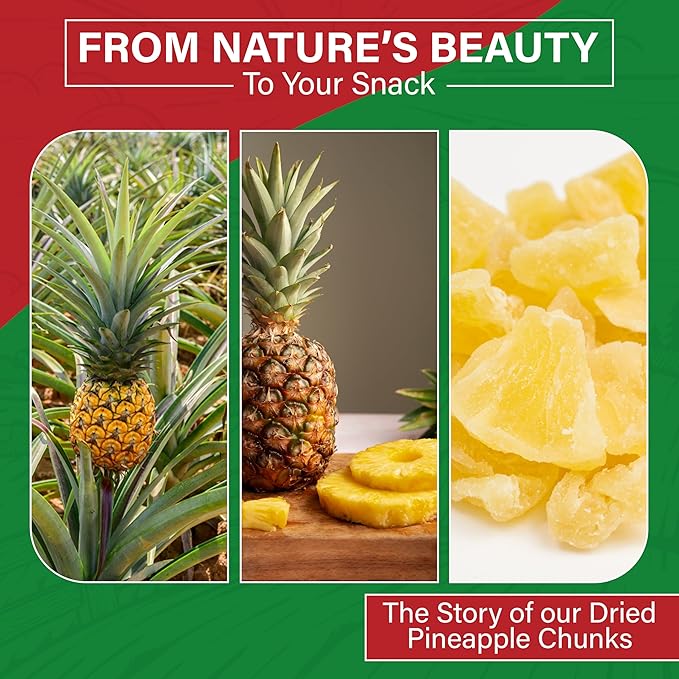 We Got Nuts Dried Pineapple Chunks | Freshly Packed Pineapple In A Perfectly Sealed Bag | Healthy Snack Full Of Vitamins Minerals Antioxidants Fibers &amp Enzymes | Kosher Certified Dried Fruit (5