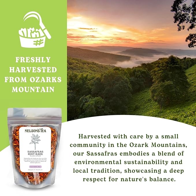 Nelson’s Tea - Sassafras Root Bark Cut &amp Sifted - Caffeine Free - Premium Sassafras Albidum Aroma Freshly Packed Resealable Bag - 16 oz