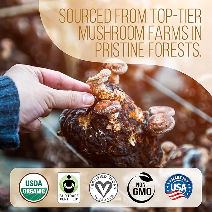 La Republica Ground Mushroom Coffee Organic Fair Trade Arabica with Superfood Mushrooms (Medium Roast 60 Servings)