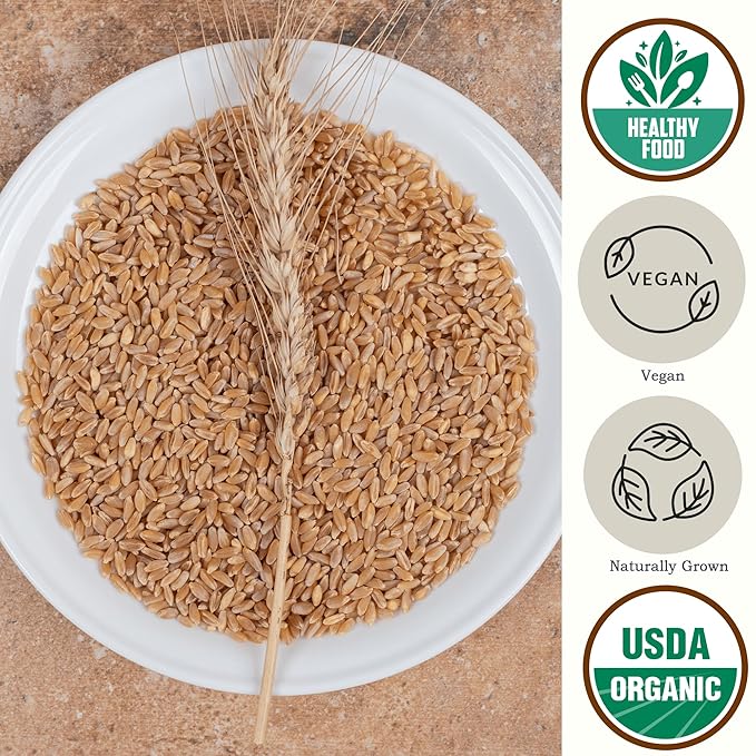 Be Still Farms Organic Hulled Barley Grain (4.8lb) - Whole Barley Groat Seed Bulk - Great for Soup Flour Cereal Home Brewing Grinding - High in Fiber | USDA Certified | Vegan | Non-GMO