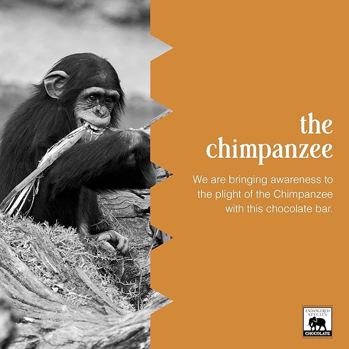 Endangered Species Chocolate Chimpanzee Natural Dark Chocolate (72%) 3-Ounce Bars (Pack of 12)