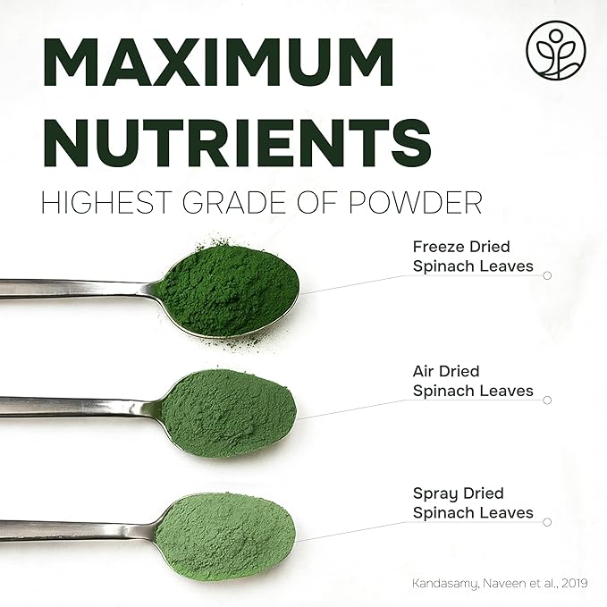 Jungle Powders Freeze Dried Whole Organic Wild Blueberries 4oz &amp Spinach Powder 5oz Bundle – Freeze Dried Whole Fruit &amp Leaf No Sugar Added Superfoods for Smoothies Baking &amp Immune Supp