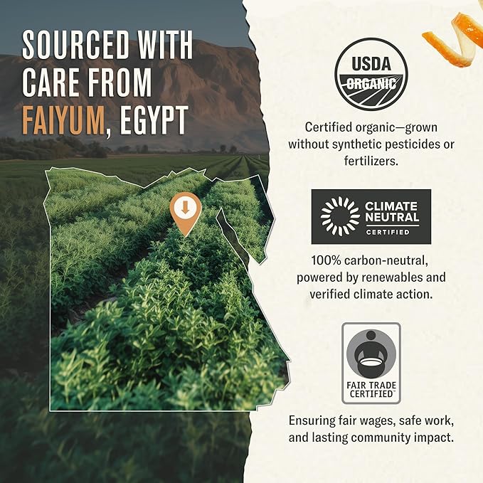 Numi Tea Organic Moroccan Mint Tea 54 Herbal Tea Bags Caffeine Free