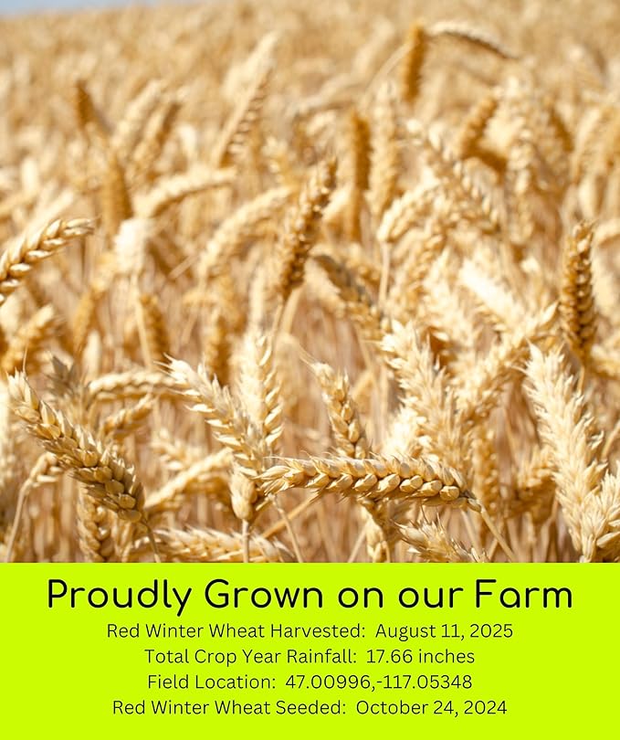 Palouse Brand Hard Red Winter Wheat Berries | Certified Glyphosate Residue Free | 25 LBS | Emergency Food Storage Bucket | Non-GMO | Grown on Our Family Farm | Bulk