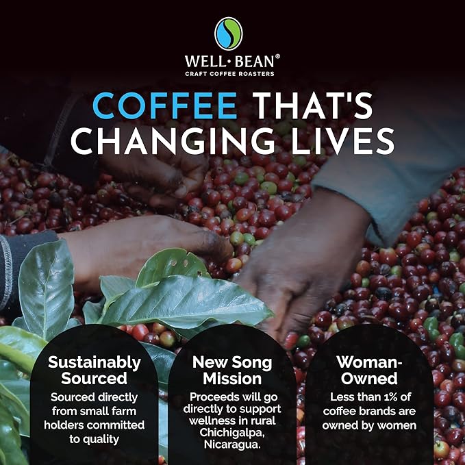 Well-Bean Coffee - Slay the Day Whole Bean Coffee Dark Brazilian Coffee Vegan Coffee Beans Whole Gluten-Free and Keto Friendly Dark Roasted Coffee 2 lb Coffee…