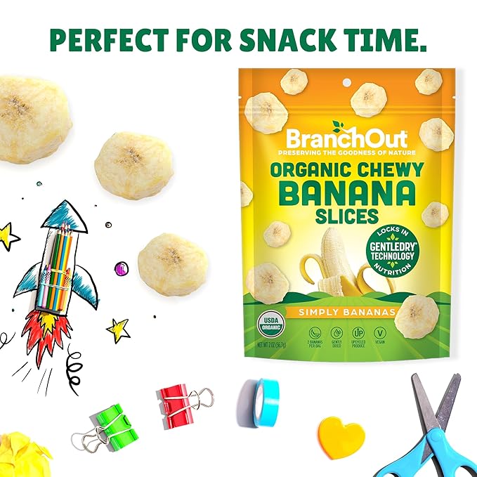 BranchOut Chewy Banana Slices No Sugar Added GentleDry Locks in Nutrition Better than Freeze Dried Banana Chips Healthy Vegan Snacks for Kids &amp Adults 2 oz Snack Size (Pack of 4)