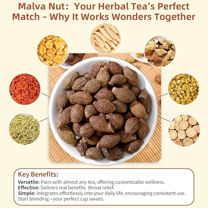 Baihuatang Malva Nut Natural Pang Da Hai for Tea 200g Dried Pang Da Hai (Sterculia Lychnophora) - Natural Chinese Herbal Tea for Throat Comfort 7.05oz Bulk Pack 胖大海