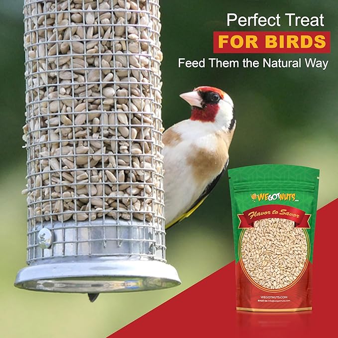 Raw Sunflower Seed Kernels by We Got Nuts - Premium Quality Kosher Shelled Sunflower Seeds - Natural &amp Healthy Fitness &amp Diet-Friendly Snack- Raw Shelled &amp Unsalted- Air-Tight Resalable B