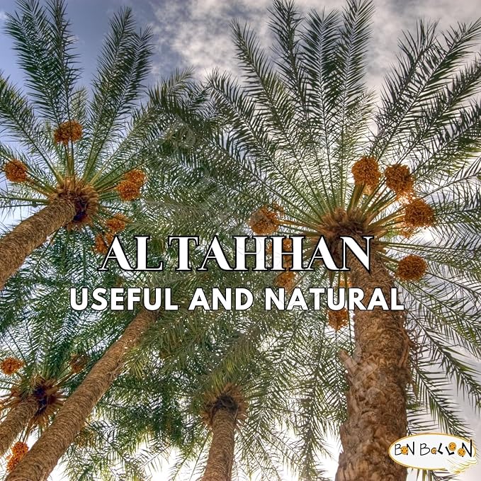 Al Tahhan Nabtet Ali Dates Premium Palms Natural Palm Delicious Sweet Taste Tamar Fresh Tamr Fresh Arabic Tamaar Half Dry Ramadan Kosher Halal (1 Pack = 15.17 oz / 430 gm) الطحان تمر نبتة على حلال