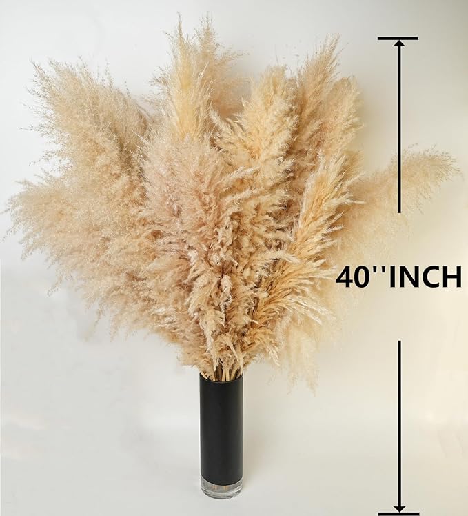10 PCS 40 Tall Pampas Grass Stems in Natural Beige Add a Boho Touch to Your Space—Pompas Grass Ideal for Floral Arrangements Floor Vases Weddings and Creating a Bohemian Ambiance at Home.