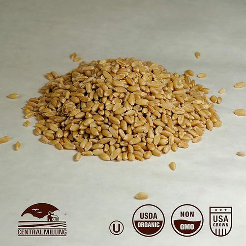 100% Organic Hard White Wheat Berries - 25 lbs
