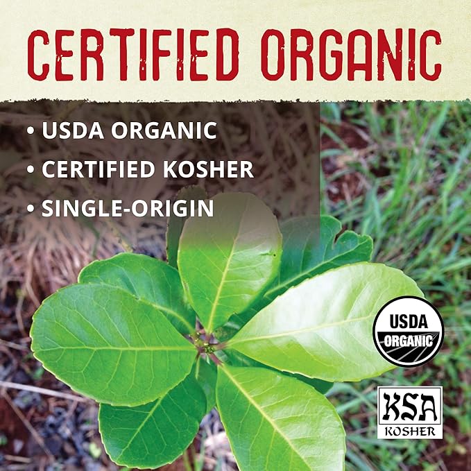 ECOTEAS PremiumOrganic Yerba Mate Tea Bags – Natural Energy &amp Detox Herbal Tea – Coffee Alternative - Kosher Non-GMO Gluten-Free - 100 Unsmoked Bulk Bags 8.8 oz (Pack of 3)