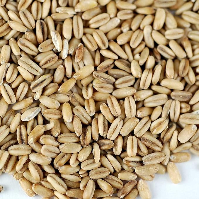 Organic Hulled Oat Groats - 30 Lbs - Oats - Hull Removed - Cereal Grain - Storage Grains &amp More