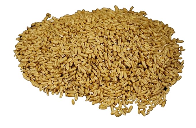 Wheatland Oat Groats • 20 Pound Bucket with Mylar lining • USA Grown • Non-GMO • Lab Tested • Sproutable • Whole Grain • Emergency Food Storage 15 year shelf life