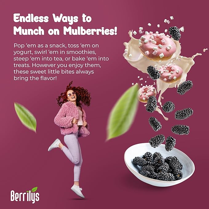 Berrilys Organic Sun-Dried Black Mulberries 4 Pack Bundle [4x10 oz] Raw Gluten Free Mulberry No Preservatives No Additives No Colorings