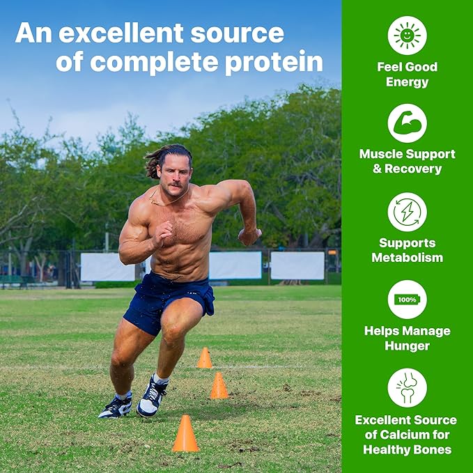 Orgain 38g High Protein Shake Dairy Isolate Protein Milk Chocolate Fudge 6g BCAAs 1g Sugar Per Serving Meal Replacement Ready to Drink Keto Friendly Gluten-Free 14 Fl Oz (Pack of 24)