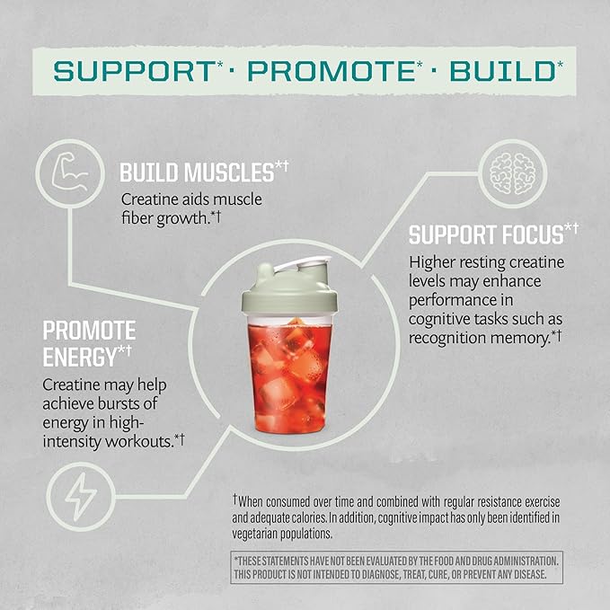 Sunwarrior Brown Rice Protein Powder Plant-Based | Chocolate 30 Servings &amp Creatine Monohydrate Powder | Micronized Unflavored 60 Servings