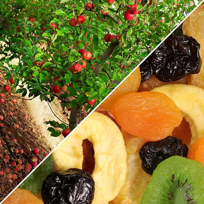 Dried Mixed Fruit with Prunes by It's Delish 2 lbs (32 Oz) Bulk | Snack Mix of Prunes Apricots Plums Apple Rings Nectarines Peaches Pears Kiwi Slices | Dry Fruits - Vegan Kosher Healthy Snacks