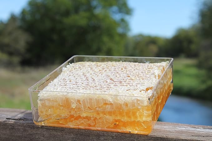 Raw Comb Honey Pure Natural Nebraska Honey (16 oz) Cut Comb