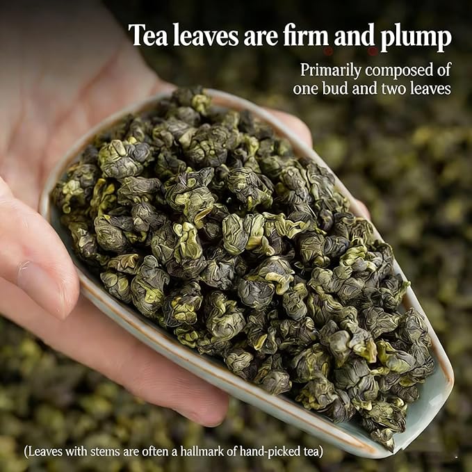 NASLAPH Alishan Oolong Tea Taiwan High Mountain Oolong Tea with Distinctive Aroma Formosa Chinese Gaoshan Ulong Tea Traditional Craftsmanship 阿里山茶 台湾高山茶 中国茶 茶 乌龙茶 8.82 Oz
