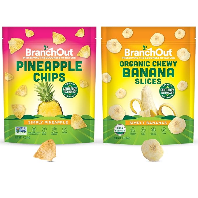 BranchOut Pineapple Chips (7 oz) and Chewy Banana Slices (10 oz) Bundle No Sugar Added GentleDry Better than Freeze Dried Fruit Healthy Vegan Snacks for Kids &amp Adults