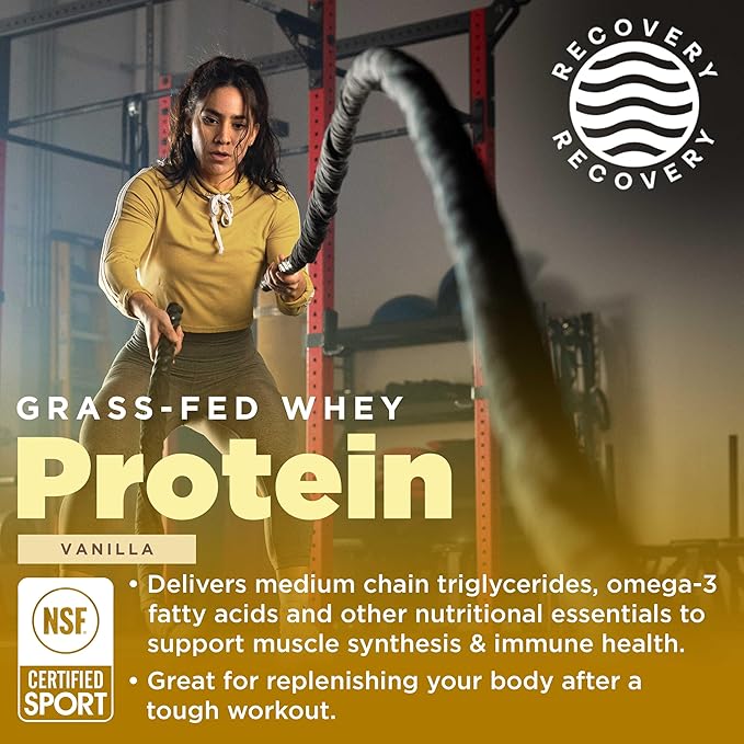 Gnarly Nutrition Performance Greens Lemon Mint (11.64 oz) and Gnarly Whey Grass-Fed Protein Supplement Vanilla (32.0oz)