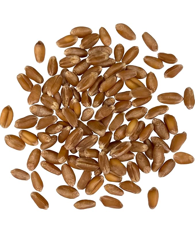 Palouse Brand Hard Red Winter Wheat Berries | Certified Glyphosate Residue Free | 25 LBS | Emergency Food Storage Bucket | Non-GMO | Grown on Our Family Farm | Bulk