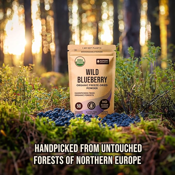 Wild Blueberry Powder Organic USDA Certified for Smoothies Baking and Flavoring Rich in Antioxidants and Vitamin C Organic Blueberries are Handpicked from Nordic Forests and Freeze Dried 6oz