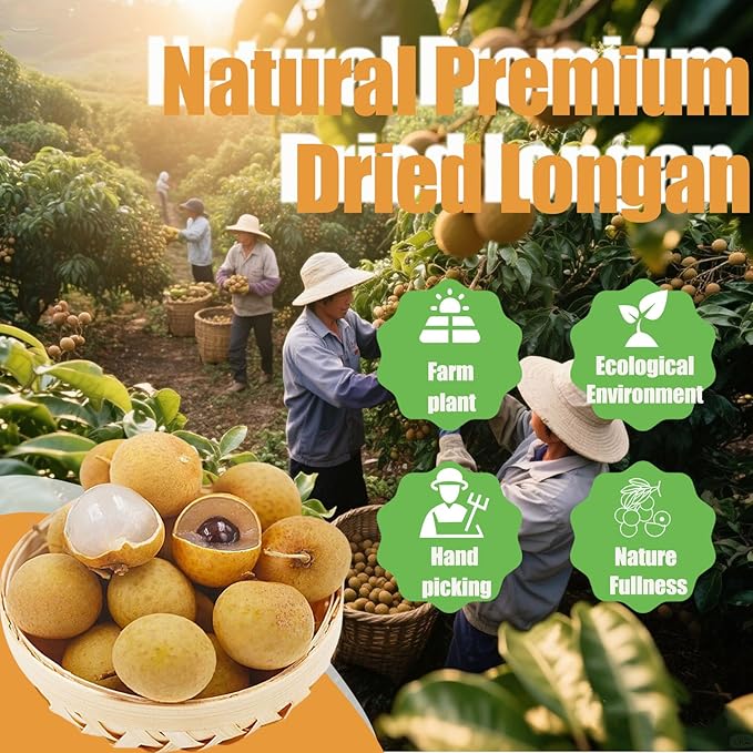 Premium Dried Longan Fruit 230g/8oz 100% Natural Longan Fruit Meat 桂圆肉 No Sugar Added &amp No Additive Healthy Snack Perfect for SnacksTeaporridgeDessert Cooking