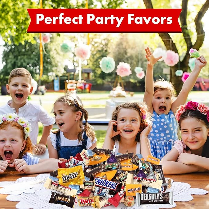 Chocolate Candy Variety Pack Holiday Bulk Chocolate Candy Individually Wrapped Perfect for Parties Office Treats and Holiday Celebrations (15 Pound)