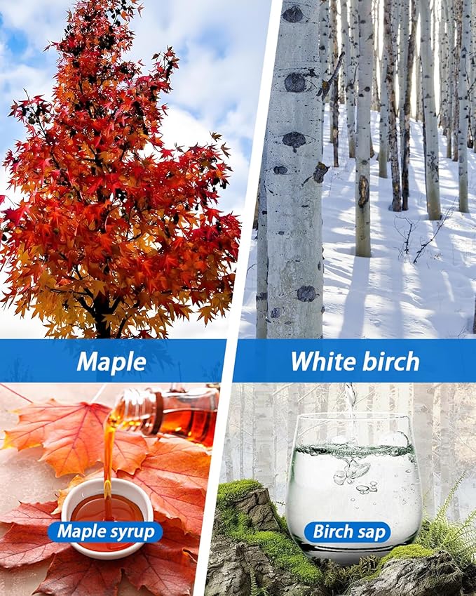 WANTELFOR Maple Syrup Tapping Kit - 10 Sets with Taps 3ft Tubing 5L Big Capacity Collection Bags and appropriate drill bit for DIY Birch Tree Sap Collection Ideal for Beginners &amp Experts (Large