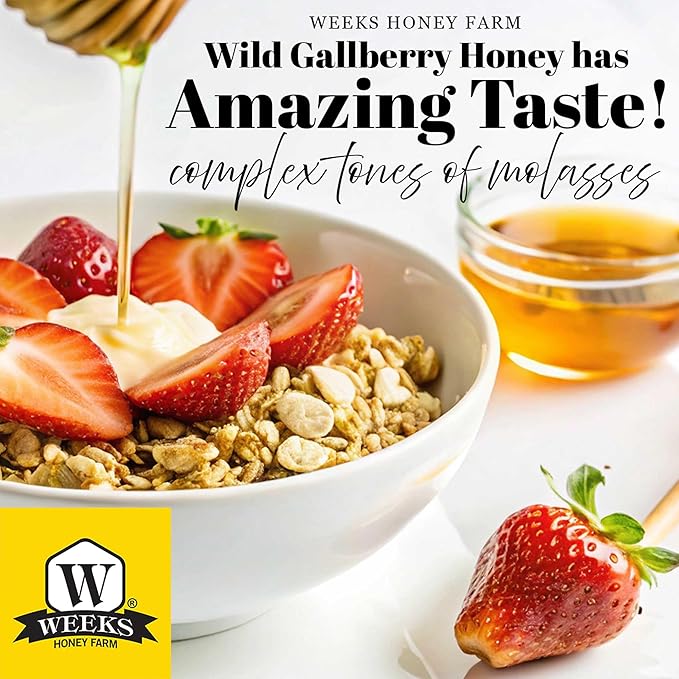 Weeks Pure Raw &amp Unfiltered Gallberry Honey - 12 oz Bear 6 Pack Kosher Certified Gluten-Free All-Natural Southern Rich Floral Flavor for Tea Baking &amp Wellness Premium Georgia Holly Honey