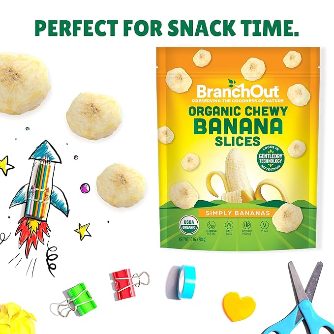 BranchOut Crunchy Strawberry Halves (6 oz) and Chewy Banana Slices (10 oz) Bundle No Sugar Added GentleDry Better than Freeze Dried Fruit Healthy Vegan Snacks for Kids &amp Adults