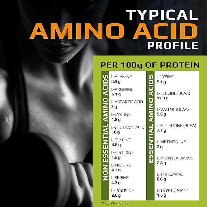 MFL Muscle Whey Protein 2 lbs l 26g of Protein l 8g BCAAs l 6g Glutamine l Low Carbs l 28 Servings (Strawberry Cake)