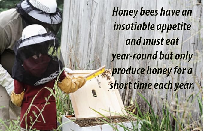 3lb Treasure Valley Honey Raw Unprocessed Fresh