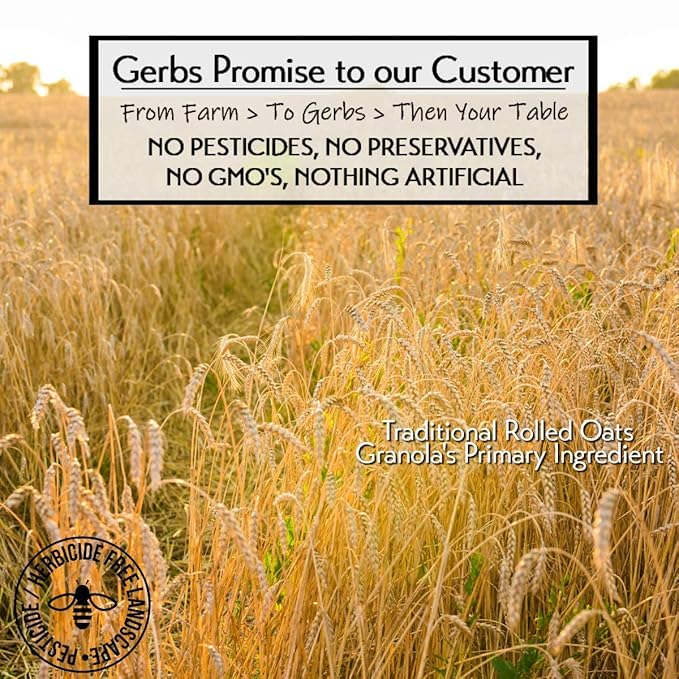 Gerbs Original Seed n' Honey Granola 2 LBS. - Top 14 Food Allergy Free &amp Non GMO - Keto Safe - Made in Rhode Island …