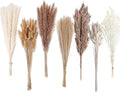 Dried Pampas Grass Decor 128PCS Pampas Grass with Bunny Tails Dried Flowers Reed Grass Bouquet for Wedding Boho Flowers Home Table Decor Rustic Farmhouse Party