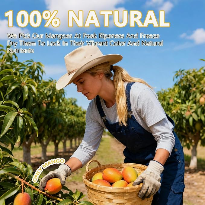 QZLGD Freeze Dried Mango Freeze Dried Fruit Diced Mango12.69oz/360g Crispy Crunchy Snacks for Baking Smoothie Yogurt