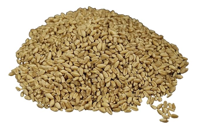 Hard White Wheat Berries : Wheatland™ : 25 lb Bulk: Emergency Preparedness : Mylar : Oxygen Absorber : 30 Year Shelf Life : Non GMO: NO Glyphosate : Long Term Food Storage