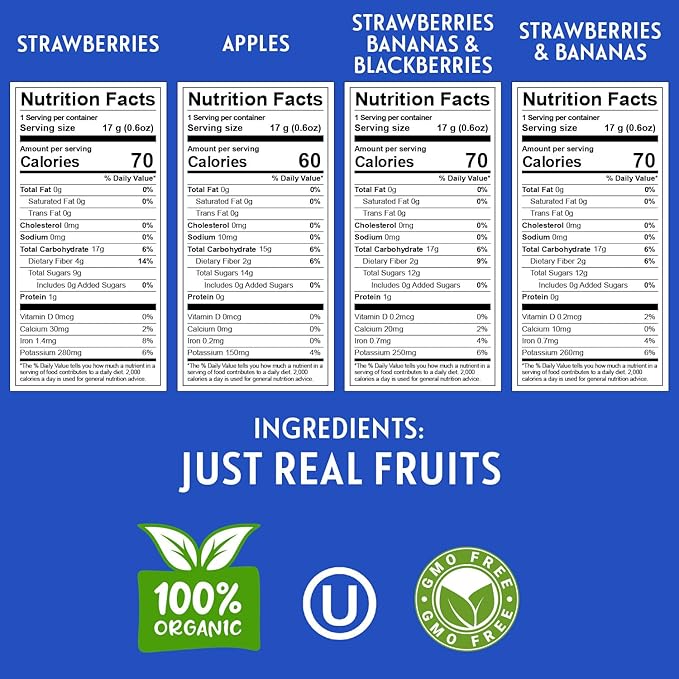 HOMESTEAD RESERVE Freeze Dried Fruit Snacks Pack of 8 (0.6oz Each) – Bulk Freeze-Dried Fruit for Home or Travel – Individual Snack Packs for Lunchboxes – Includes Apples Strawberries Blackberries &