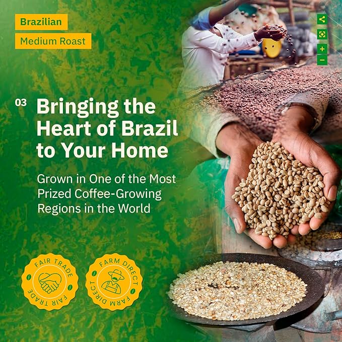 Brazilian Santos Medium Roast Coffee Beans - 2LB Single Origin Arabica Specialty Coffee Espresso Fine Grind Freshly Roasted to Order Fair Trade