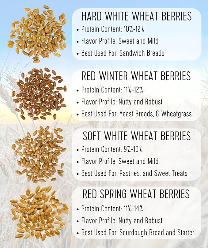 Palouse Brand Hard Red Winter Wheat Berries | Certified Glyphosate Residue Free | 25 LBS | Emergency Food Storage Bucket | Non-GMO | Grown on Our Family Farm | Bulk