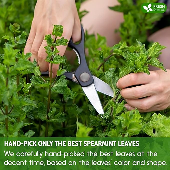 Spearmint Tea Bags 100% Natural &amp Pure Spearmint Leaves. Loose Leaf Spearmint Herbal Tea. Spearmint Leaf Tea. No Sugar No Caffeine No Gluten Vegan.
