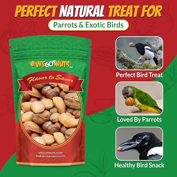Deluxe Mixed Nuts In-Shell 3 Pounds(48oz) | Raw and Unsalted | Fresh Snack Mix | Healthy and Delicious Nuts Mix | Kosher Friendly Mixed Nuts We Got Nuts