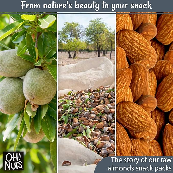 Oh! Nuts Almonds Raw Individual Nut Snacks for On-the-Go - 12 Convenient Nut Snacks for School - Bulk Nuts Variety - Individual Packs (1.5 oz Each)