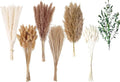 123 PCS Dried Flower Bouquet – Pampas Grass Floral Decor for Home Wedding and Boho Style | Perfect for Vases Fall Spring Summer and Winter Arrangements