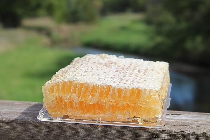 Raw Comb Honey Pure Natural Nebraska Honey (16 oz) Cut Comb
