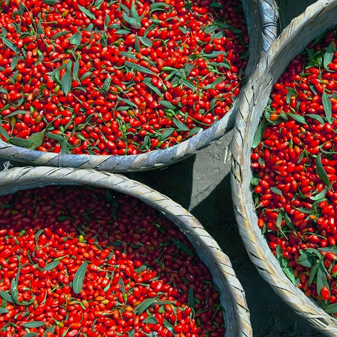 Wholeberry organic wolfberry gouqi Goji berries 22lbs | Raw Vegan Gluten Free Super food High in Plant Based Protein Dietary Fiber Vitamin A &amp Iron | Large
