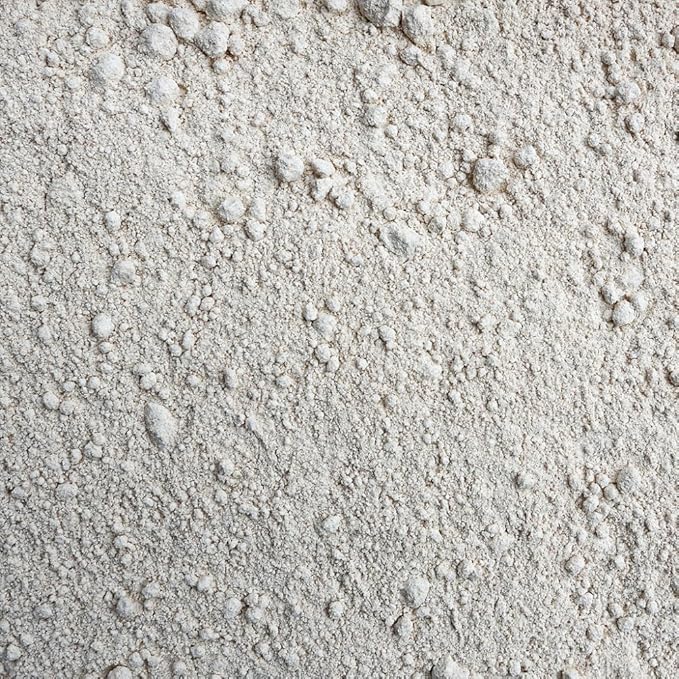 One Degree Organic Foods Flour Spelt Sprouted Organic 80 Ounce